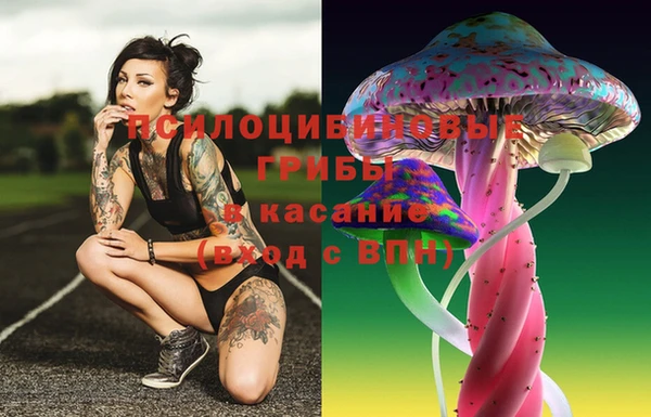 мдма Заводоуковск