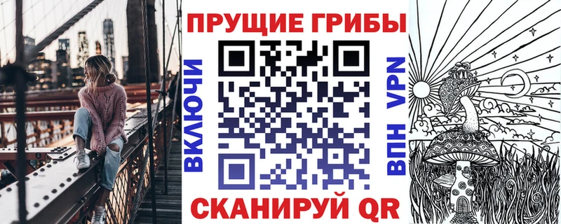 Галлюциногенные грибы Cubensis Купить где Покров